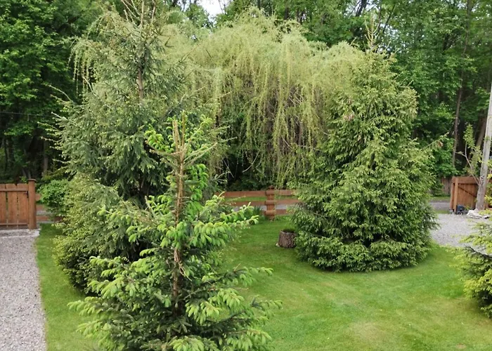 Apartment Nad Potokiem *